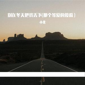 别在冬天把我丢下(那个等爱的傻瓜）