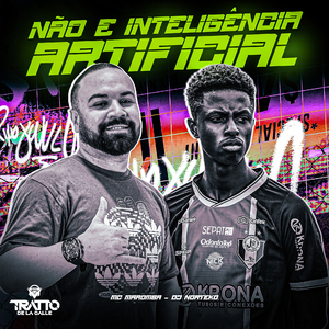 Não É Inteligência Artificial