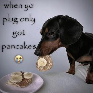 sugi pula joc fortnite