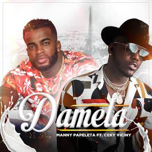 Damela (feat. Ceky Viciny)