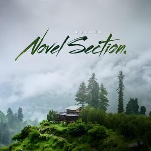 Novel Section