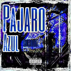 Pajaro Azul