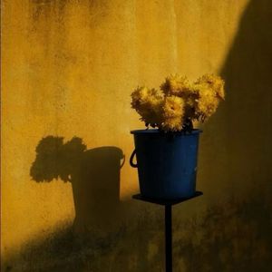 相爱为何不能在一起（语录）