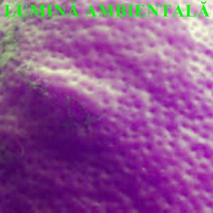 Lumin? ambiental?