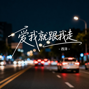爱我就跟我走（抖音热播版）