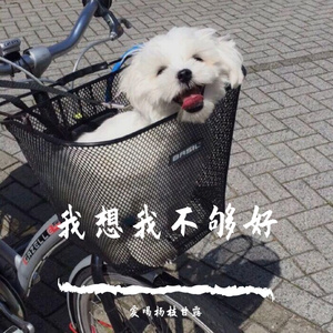 我想我不够好（翻唱：单色凌）