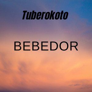 Bebedor