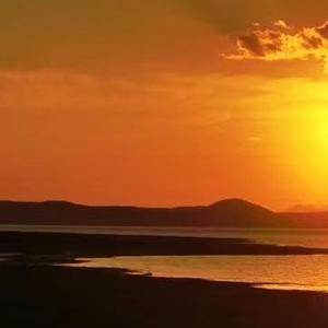 早已习惯了流浪