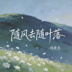 随风去随叶落