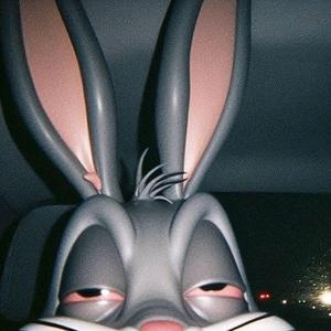 NOIX TA A VONTADE x DEPOIS DE VÁRIOS BECK