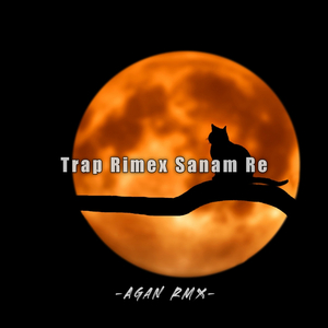 Trap Rimex Sanam Re