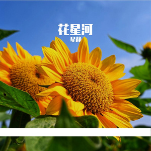 花星河-整曲
