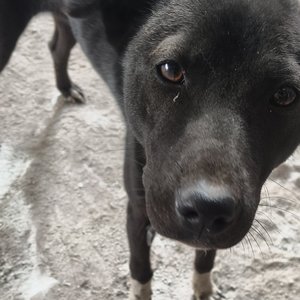 当你的离开是永久冷战