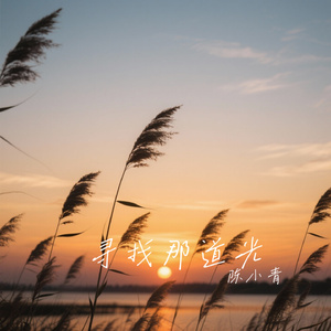 寻找那道光