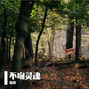 不吻灵魂