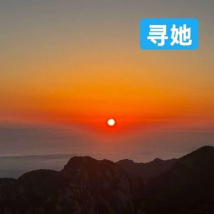 寻她