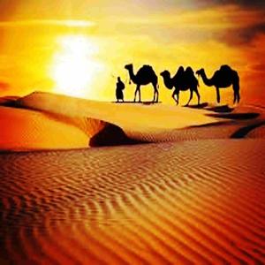 Beware-Official Arabian Song