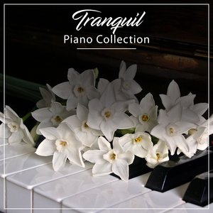 Clementi's Sonata in G Minor Didone Abbandonata Op 50 I Allegro Ma Con Espressione
