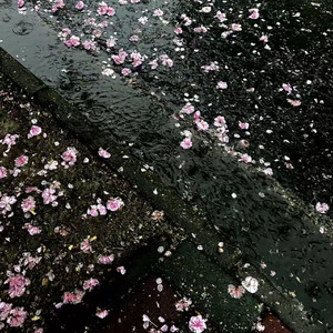 十里桃花