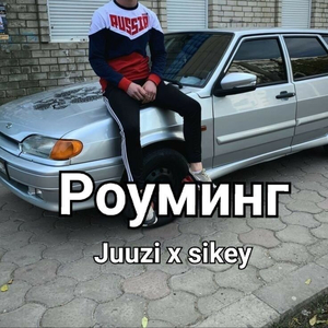Роуминг