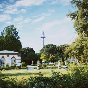 frankytown freestyle