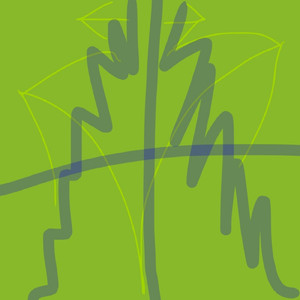 ミギｌヒダリ