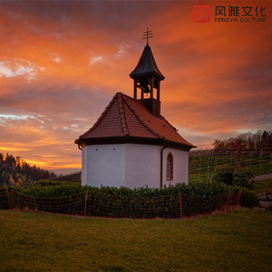 离别的滋味 -小提琴