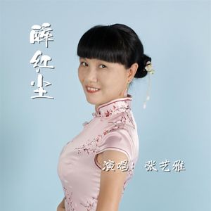 醉红尘
