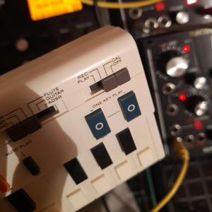 The Mighty Kong! (Casio VL Bitcrush Mix)