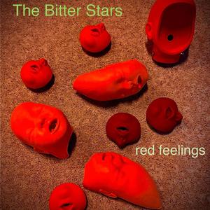 Bitch I'm Beethoven's wig