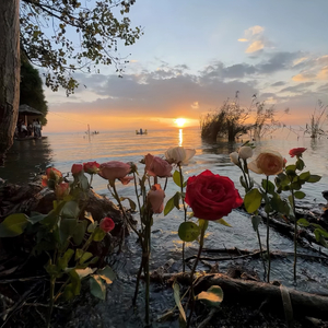 如果我有两颗心