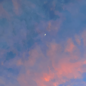 【Free】望夜沉思