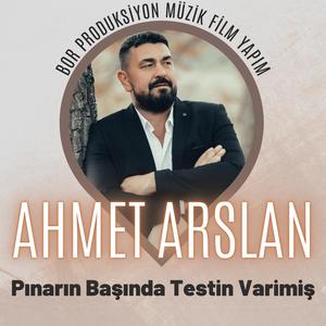 Pınarın Başında Testin Varimiş