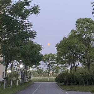 20岁的自由 伴奏