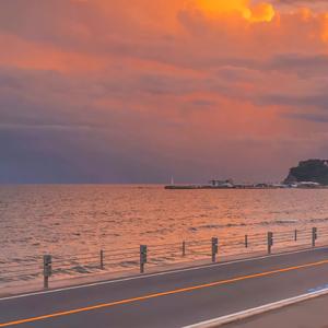 候鸟未抵达的季节