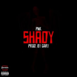 SHADY