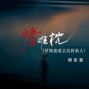 情难枕 (早知道爱会这样伤人)