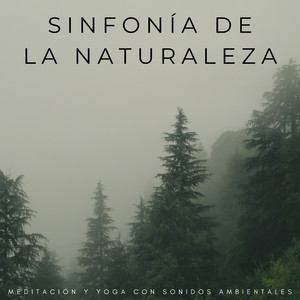 Melodías Meditativas De La Naturaleza