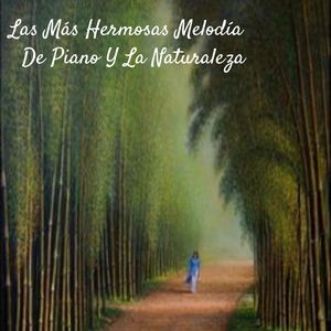 Es Bueno Para La Salud