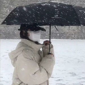 专属情歌完整版