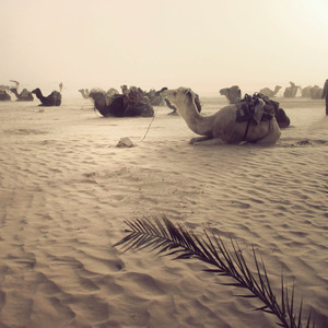 We Can Go Everywhere (Richard Rossa Remix)