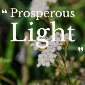 Prosperous Light