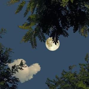 Moonglade