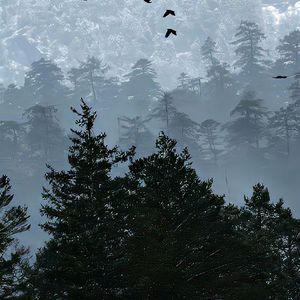 多想在平庸的生活拥抱你