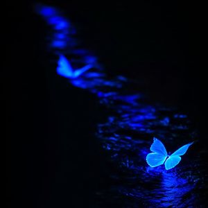 忘与记（烟嗓女版）