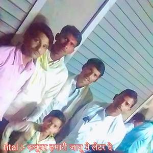 कबूतर हमारी जानू ने लेटर दे