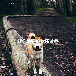 Sultry Music for Favorite Vibes