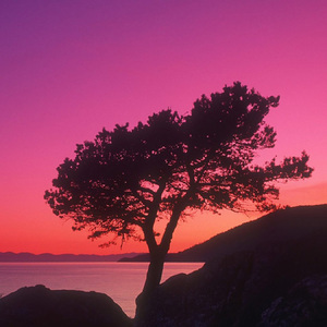 一直很安静 (助眠钢琴曲)