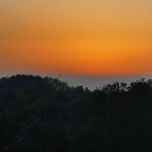 白色星体（小楼和吉良）