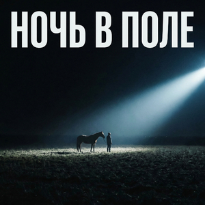 Ночь в поле